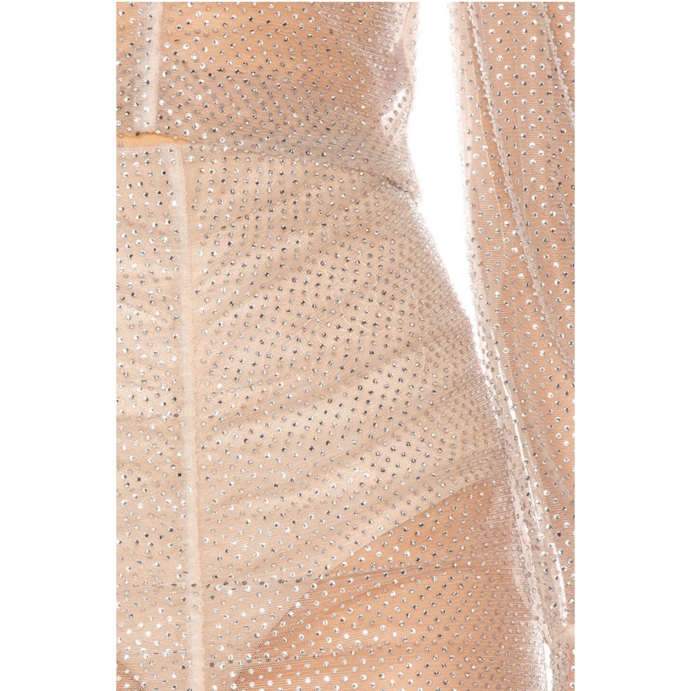REVE RICHE Revolve Sheer Crystal Embellished Aytash Skirt - Picture 4 of 12